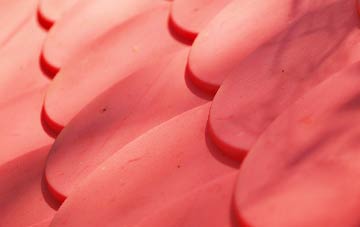 Ellington Thorpe plastic roof costs