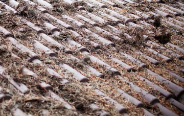 Ellington Thorpe roof cleaning companies