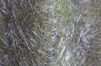 Ellington Thorpe fibreglass roof work